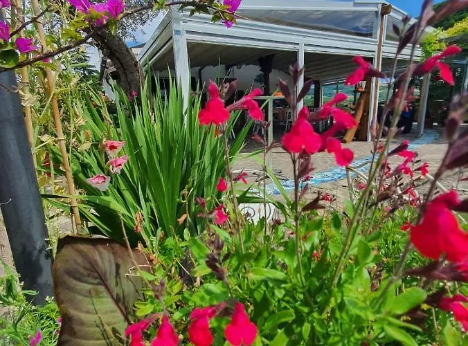 Re Piano Le Colline *